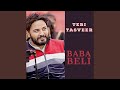 Teri Tasveer
