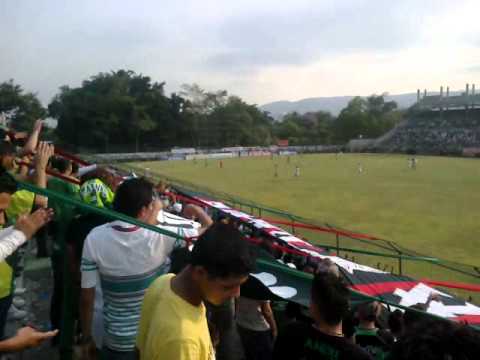 "soy del verde y lo sigo a todos lados-FURIA VERDE" Barra: Fúria Verde &bull; Club: Marathón