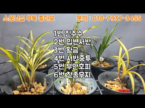 유튜브 썸네일