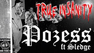 True Insanity - Pozess Ft Sledge