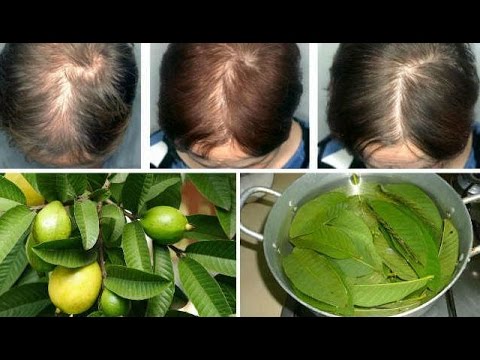 Teh jahe dengan madu untuk resep penurunan berat badan Orang-orang yang telah kehilangan cerita berat badan dengan foto
