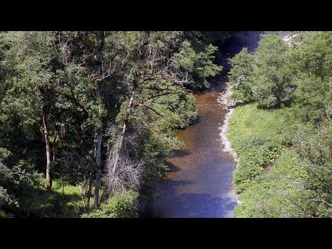 Deutschlands letzte Wildflüsse: Wutachschlucht