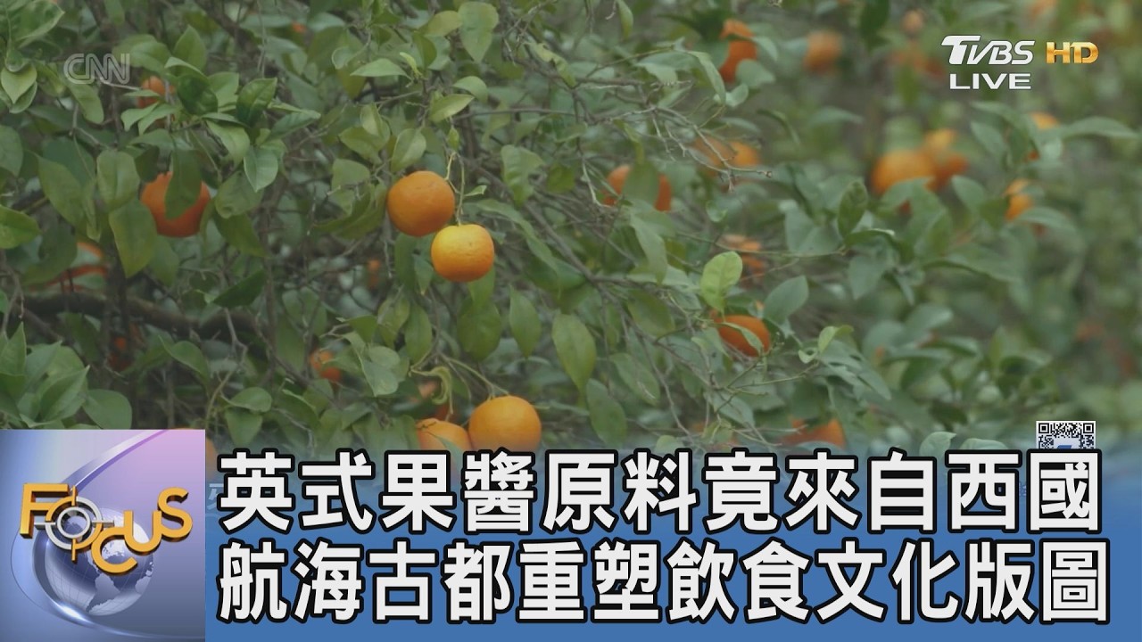 柏靈頓熊口袋裡的祕密！英式果醬靈魂竟來自這座西班牙古城