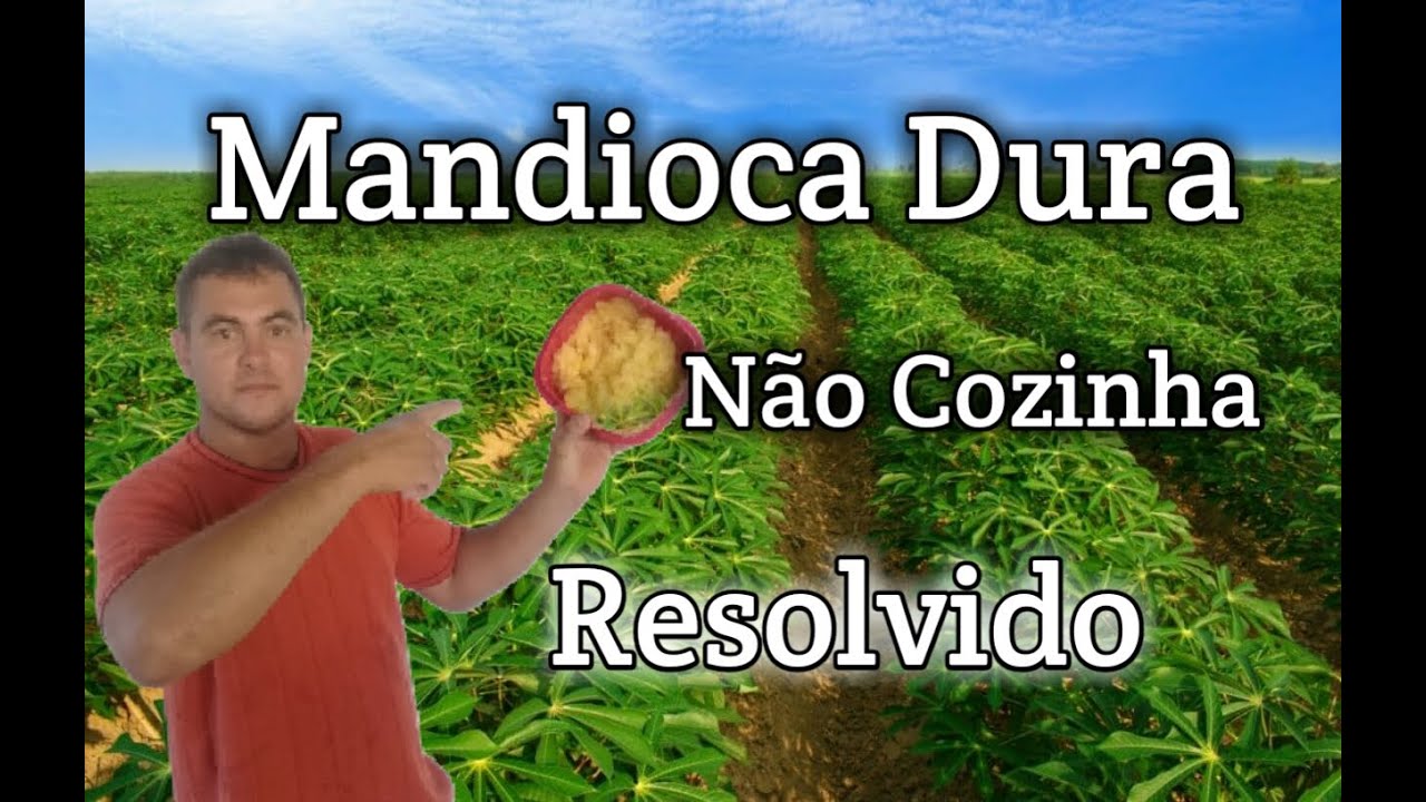 Como Cozinhar (mandioca) Aipim e Deixar bem Mole