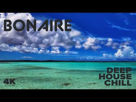 Bonaire Ocean Therapy 🌊 | Coral Reefs, Pink Salt Ponds, and Wild Coast | 3 Hours for Your 4K TV