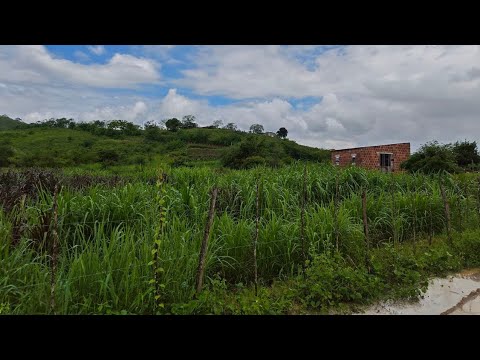 OPORTUNIDADE: VENDE-SE ÁREA DE CHÁCARA TAMANHO 26x90 PASSIRA PERNAMBUCO 