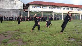 Download lagu KEHEBATAN TENAGA DALAM !!! Melumpuhkan Tanpa Menyentuh !!! - WS Pamungkas mp3