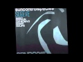 Sun Control Species - Sleeve (Sheff Remix) 