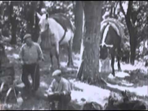 Documentario audiofonico storico: la spedizione in Lucania di Ernesto de Martino 1952
