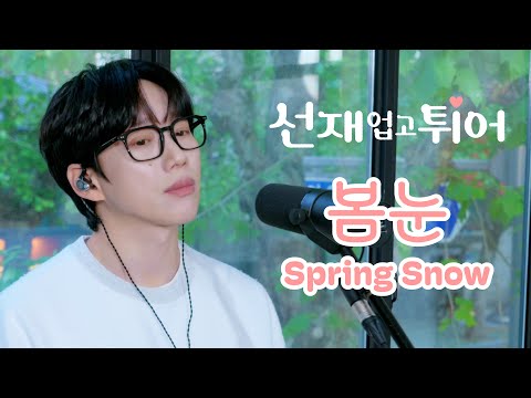 10CM / 십센치 - 선재 업고 튀어 OST '봄 눈 / Spring Snow'