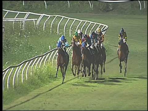 Galoppo 06/08/2016 - 6° corsa