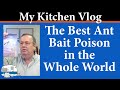 The Best Ant Bait Poison Packet In The World