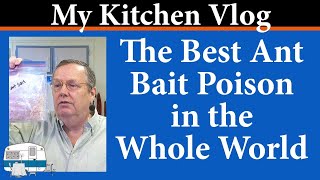 The best ant bait poison packet in the world