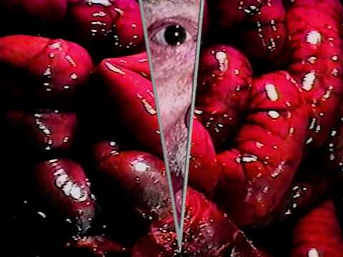 Intimate Bodies trailer thumbnail
