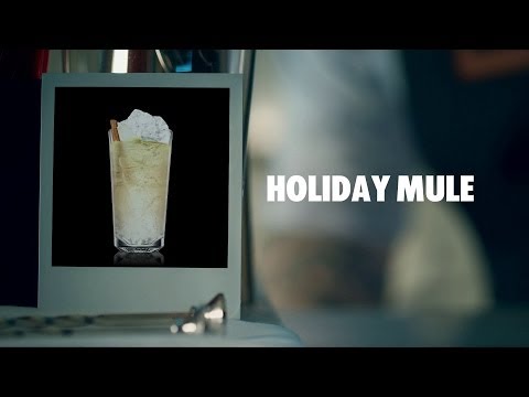 HOLIDAY MULE DRINK RECIPE - HOW TO MIX