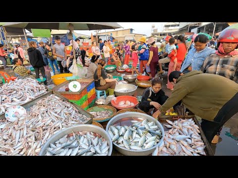 Cambodian Wholesale Fish Market, Wet Market Scenes, Khmer People's Daily Activities, Vendor & Buyer