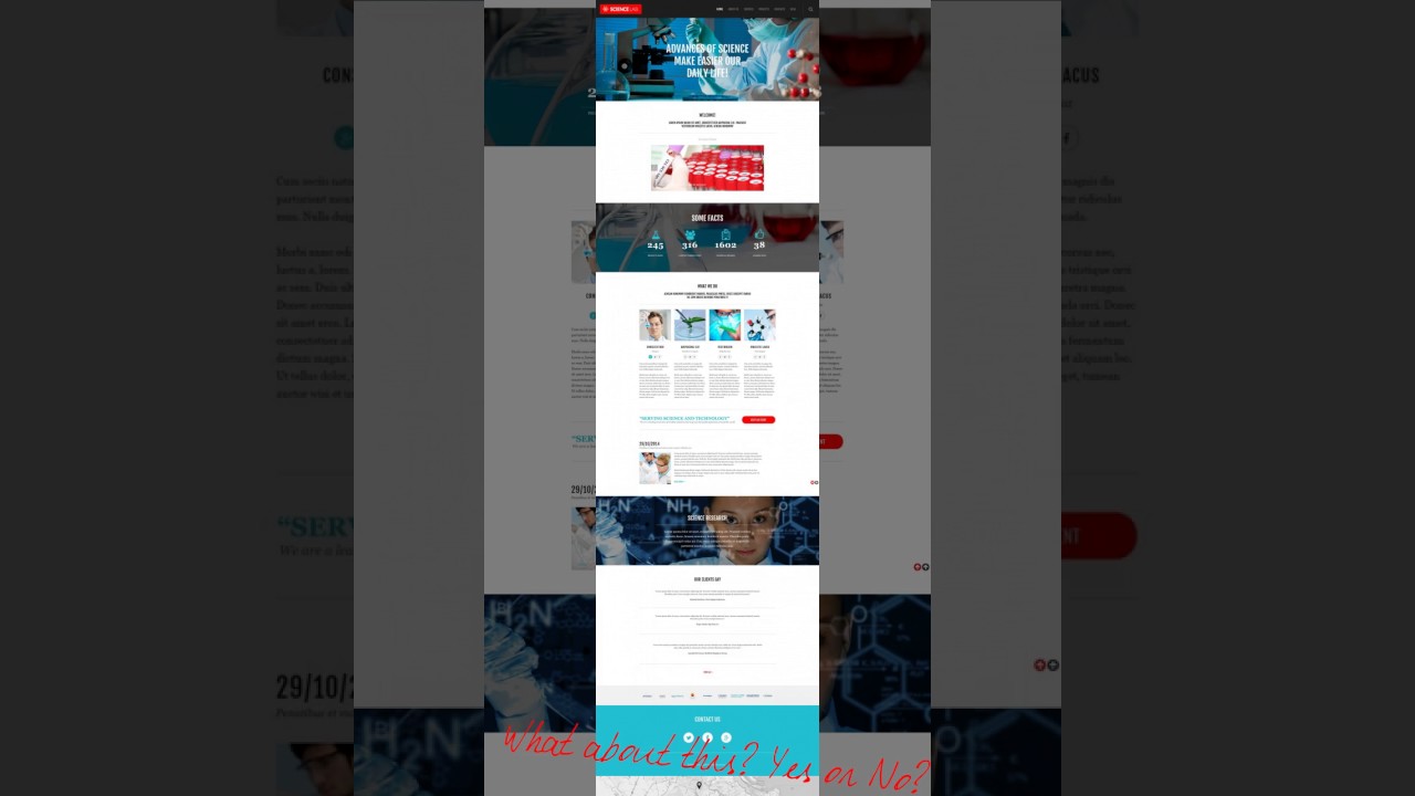 Sites Templates wordpress theme brooklyn