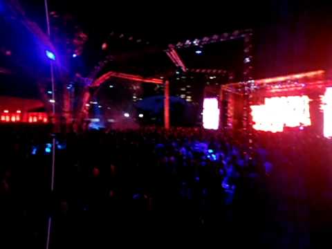 GIRASOL THE WEEK 05/06/2010