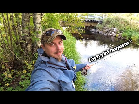 Perho ja Jigikalastusta Kipinän koskilla