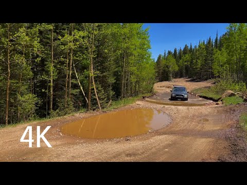 Yankee Hill. Idaho Springs, CO. Solo. #171