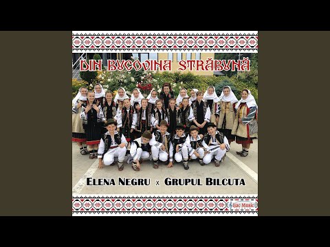 Din Bucovina strabuna