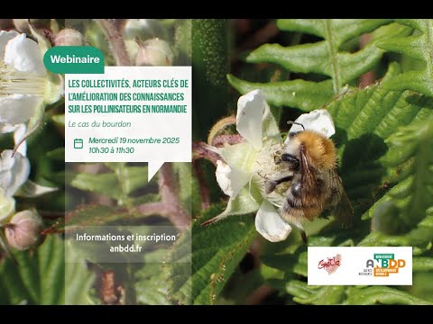 [Webinaire] Les collectivités, acteurs clés de l’amélioration des connaissances sur les pollinisateurs en Ndie