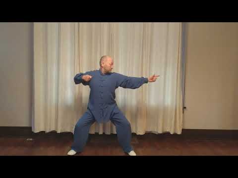 Qigong 8 Brokate von Suman Barkhas