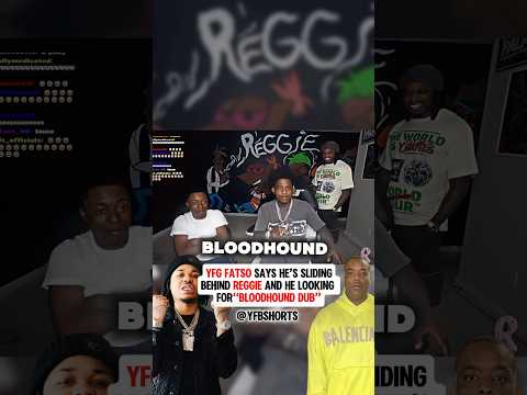YFG Fatso Says He’s Sliding Behind Streamer Reggie & He Looking For “BloodHound Dub” 😳 #yfgfatso