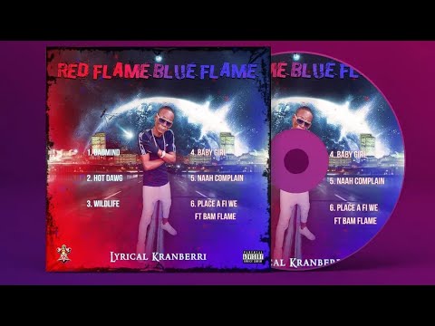 04. Lyrical Kranberri - Baby Girl