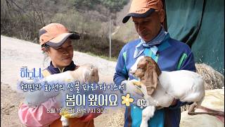 [예고] 특집 연중기획 하모니 463회-현민과 화선의 산골 파라다이스에 봄이 왔어요 1부/ 연합뉴스TV(YonhapnewsTV)