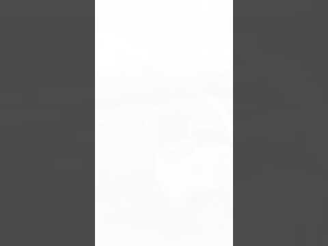 Killen Bros Contracting have certainly come a long way since we first visited them in 2014 🤩