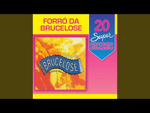 Luz - Brucelose