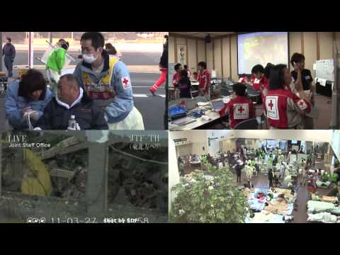Disaster Relief Fund: A Lifeline in Times of Crisis | Vibepedia