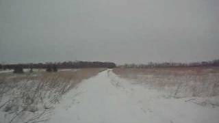 preview picture of video 'Snowmobiling in Southeast Michigan'
