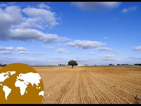 La Eduteca - El paisaje de llanura