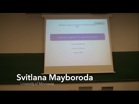 Svitlana Mayboroda: Landscape approach to wave localization