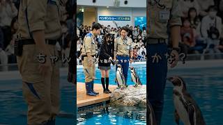 未知の泳ぐ鳥に会いに行ってきた！【妖怪パーク女子Vログ】 #shorts