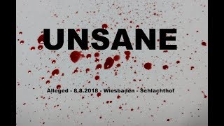 Unsane - Alleged - 8.8.2018 - Wiesbaden - Schlachthof