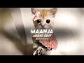 Maanja Maan Karate Edit Audio