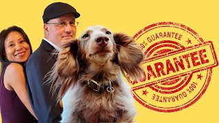 Watch This If You Think Dog Training Guarantees Are Stupid