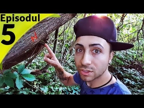 COMOARA LUI HARRY POTTER EPISODUL 5 - AM GASIT BAGHETA LUI HARRY POTTER