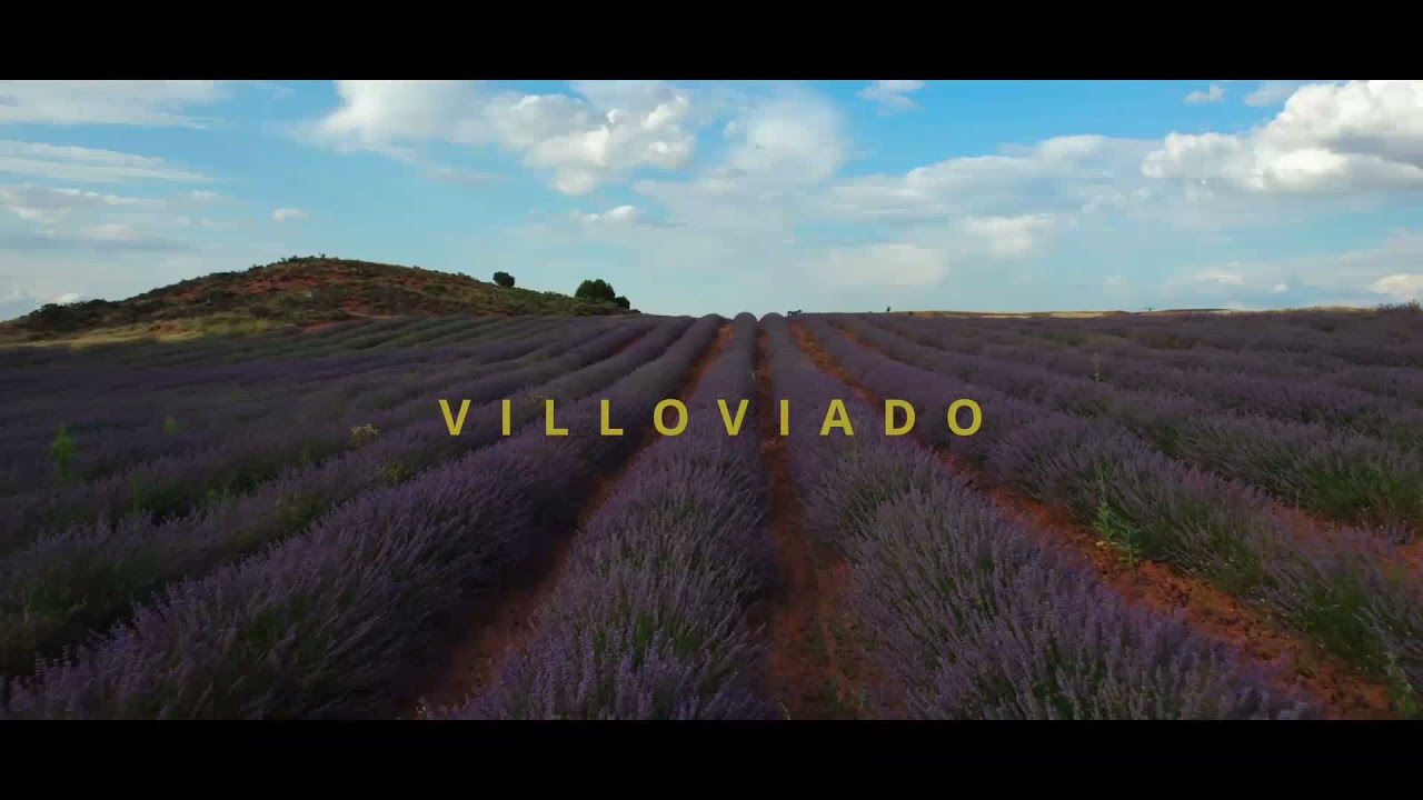 VILLOVIADO , cuna del cura merino