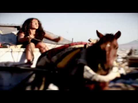 Trailer de A Gata (2014)