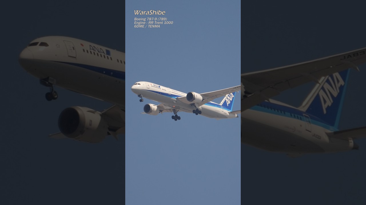 ANA 787-9 Gear Down Timing: 6DME Tenma View | ITM/RJOO