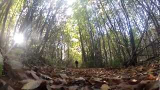 preview picture of video 'VTT Chevreuse 2   28Oct2012'