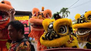 醒狮参拜众神 @ 馬來西亞雪兰莪 巴生班达马兰 张公坛庆祝 张公圣君众神千秋宝诞 Lion Dance @ Klang, Malaysia. 20250907