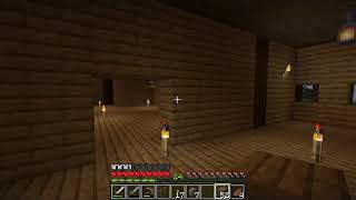 夜から夜ちょっとマインクラフトで日曜大工（作建築作業）