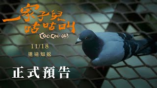 《一家子兒咕咕叫》正式預告 11/18 迷途知返