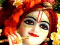 Jai Radha Madhav Jai Kunj Bihari ISKCON Ram ISKCON Bhajan Iskcon Krishna Harekrishna Radha