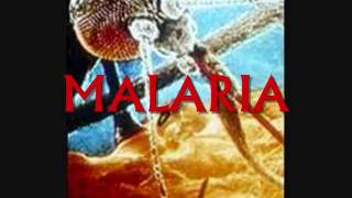 preview picture of video 'Malaria.wmv'